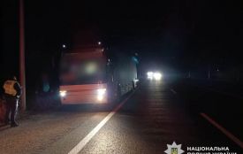 Неподалік Житомира зіткнулися пасажирський автобус і віз: травмовано пасажирку гужової повозки