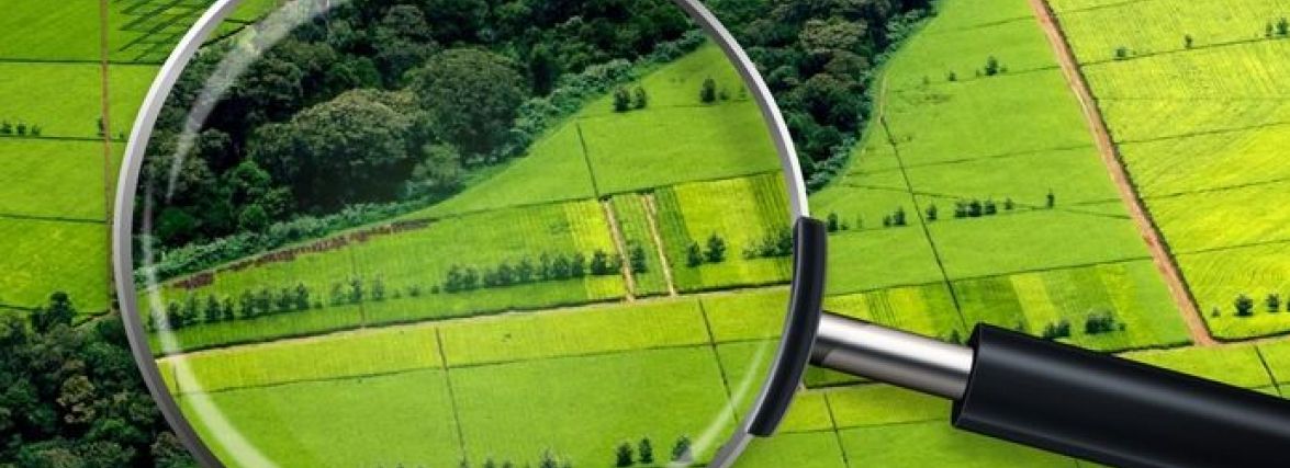 Продаж землі сільськогосподарського призначення: що потрібно знати