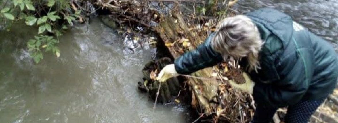 Злочин проти природи: у Житомирі водоканал знову злив неочищені каналізаційні стоки у Тетерів