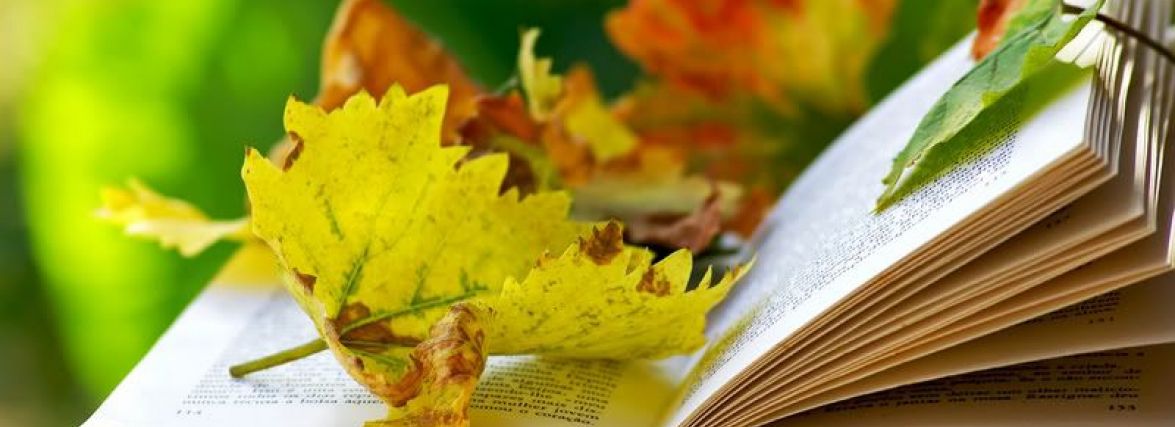 П'ять кращих книжкових новинок осені