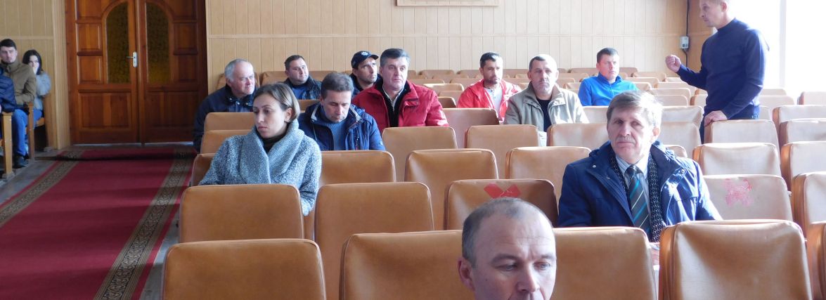На Романівщині видалять 50 аварійних дерев
