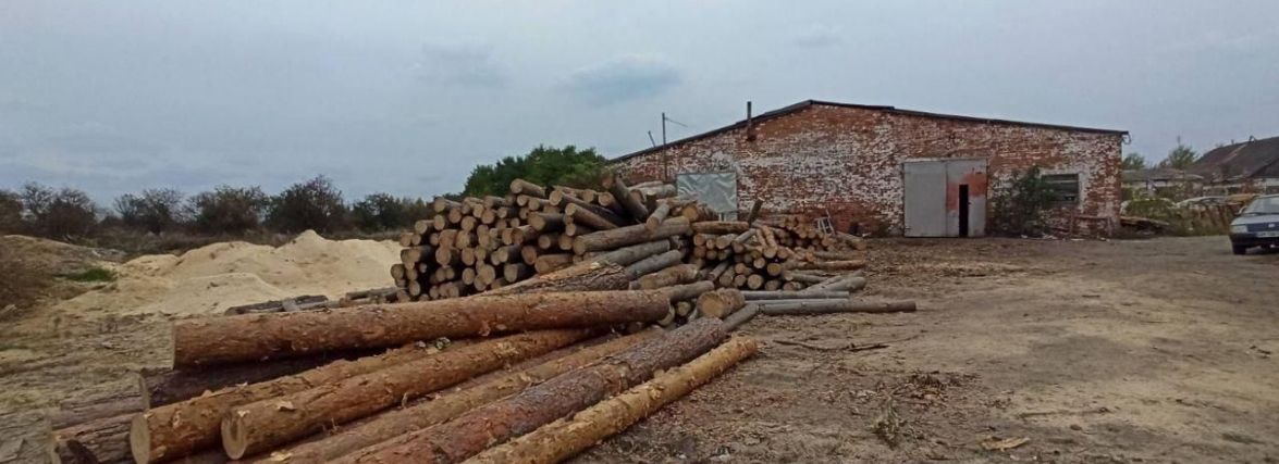 На Житомирщині продовжують виявляти необлікований ліс
