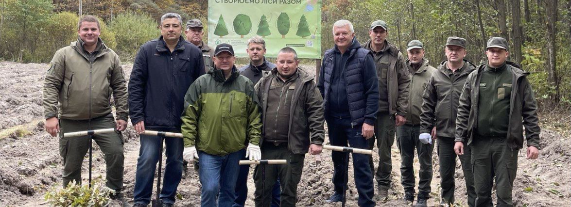 Мільйон дерев посадили за один день на Житомирщині