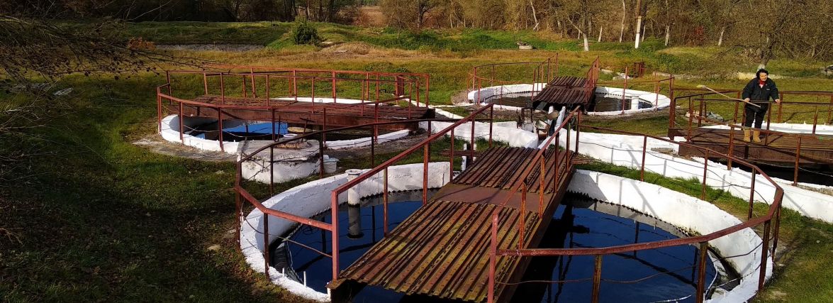 Робоча група громадської ради провела виїзне засідання для вивчення стану екології в районі