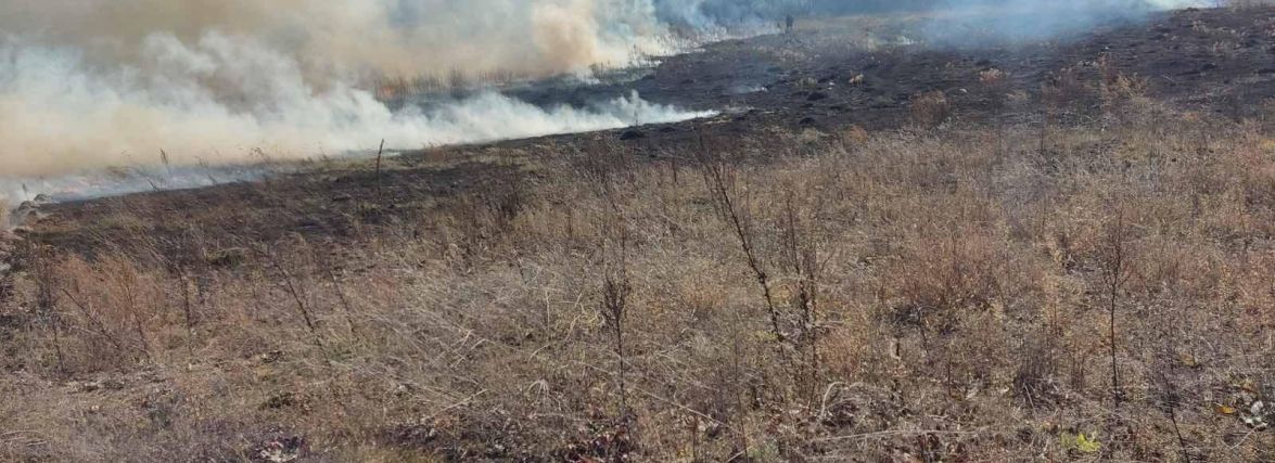 Через суху погоду і людську недбалість в області лише за добу сталося 16 пожеж сухої трави
