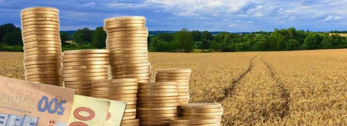 Власники земельних паїв платитимуть 1500 гривень за гектар