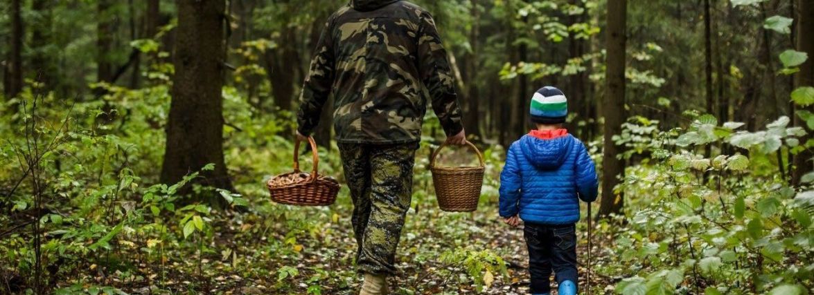 Гриби і ягоди збиратимемо безкоштовно, а от штрафи за шкоду, заподіяну природно-заповідному фонду, збільшено