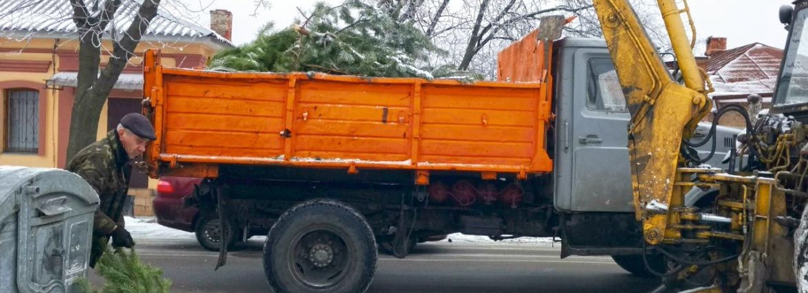 Куди у Житомирі подіти новорічну ялинку після свят