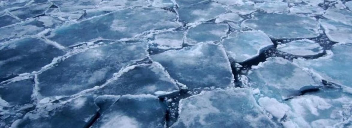 У Кам'янці у Житомирі знайшли мертвого чоловіка
