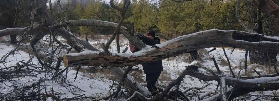 Рятувальники продовжують протистояння з негодою: у прибирали повалені дерева, лагодили пошкоджені дахи та надавали допомогу медикам