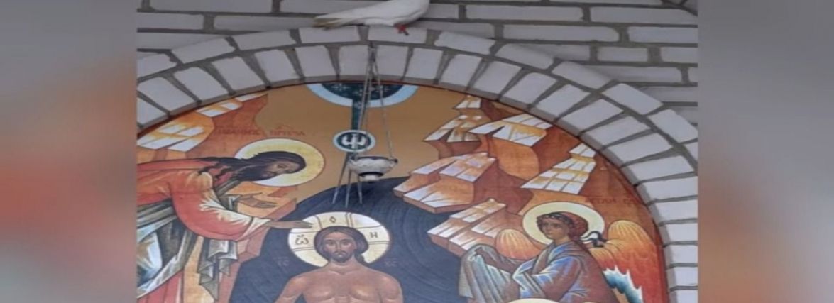 У Попільні під час освячення води прилетів білий голуб. ВІДЕО