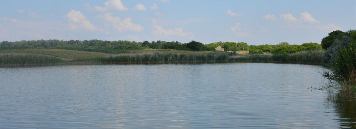 Столичне товариство незаконно користувалося двома водосховищами вартістю 347 млн грн