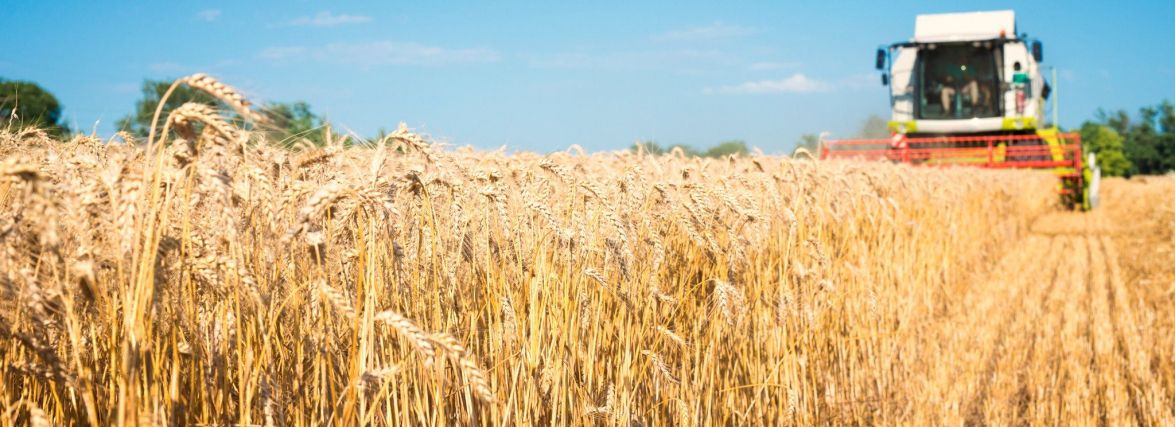 Вже більше 50 аграріїв Житомирщини отримали кредитні кошти від держави