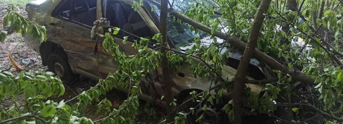 ДТП під Бердичевом: автівка з`їхала у кювет, травмувалася киянка