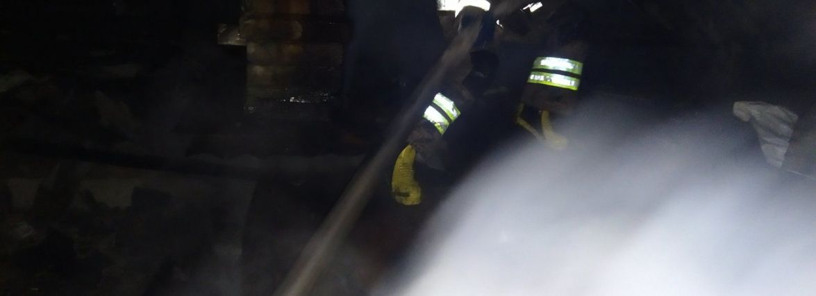 Горіло сміття і житловий сектор: на Житомирщині за добу ліквідували 5 пожеж
