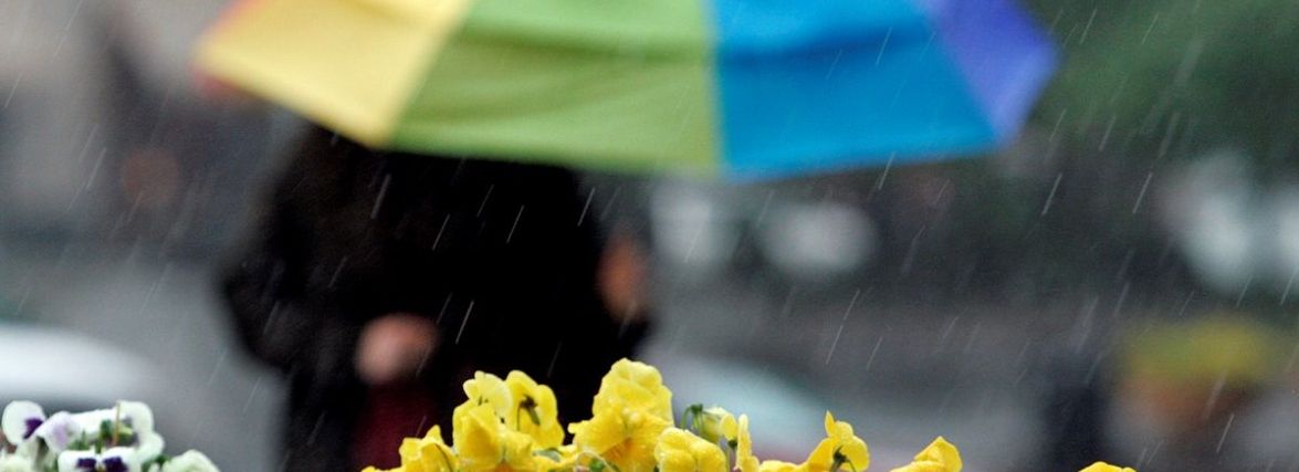 Синоптики прогнозують класичну травневу погоду: до +25, місцями дощі