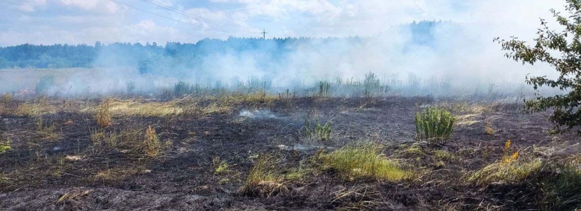 Упродовж минулої доби вогнеборці області ліквідовували два загоряння сухої рослинності та три пожежі сміття