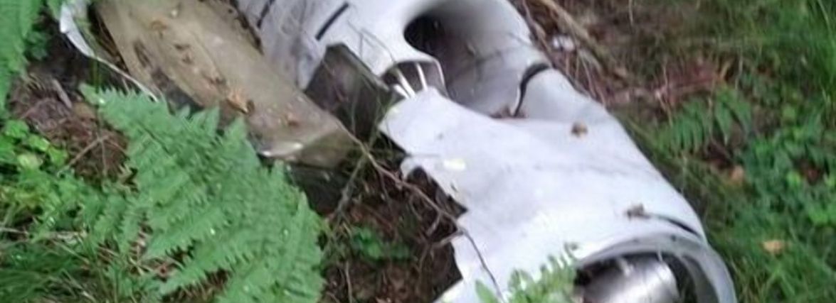 У лісі поблизу Ушомирської громади знайшли уламки "Калібру"