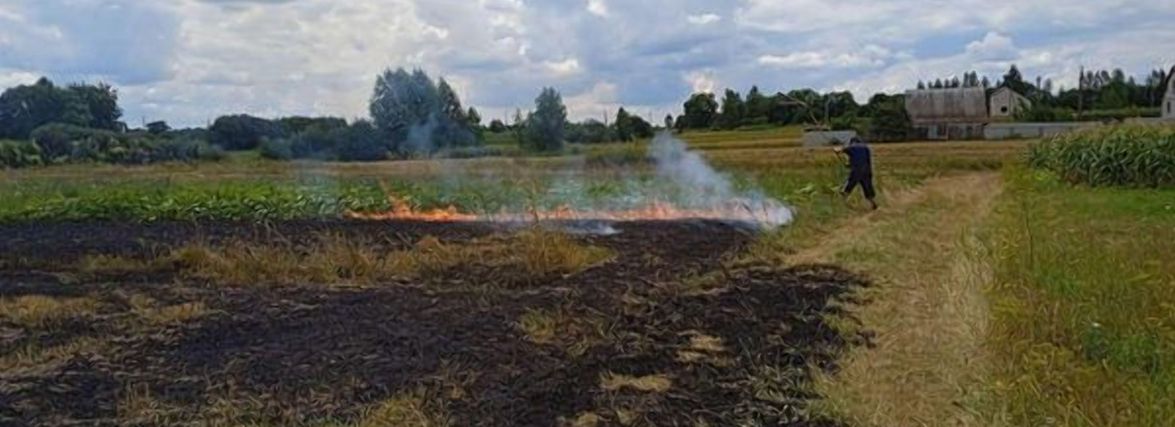За добу на Житомирщині виникло 5 пожеж в екосистемах
