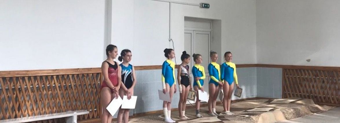У Житомирі відбувся особистий відкритий чемпіонат області зі стрибків на батуті