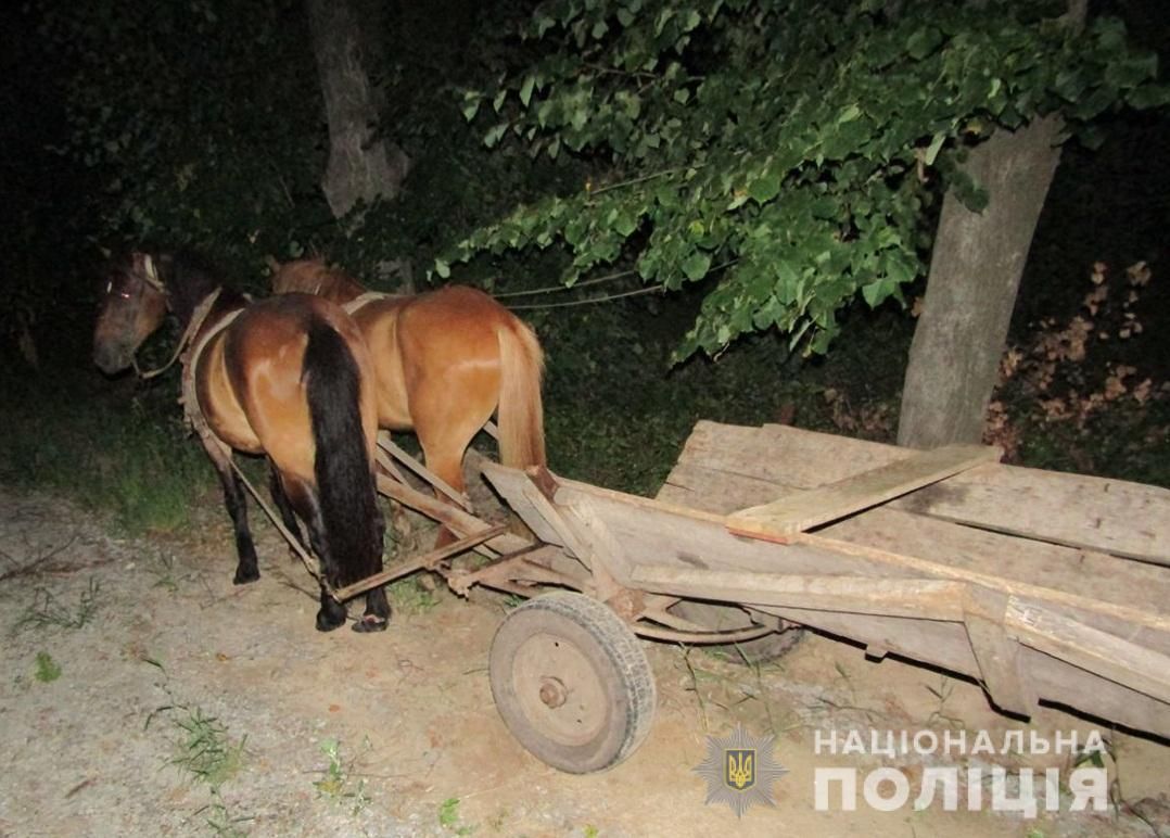 Продам віз для коня, Львовская обл.