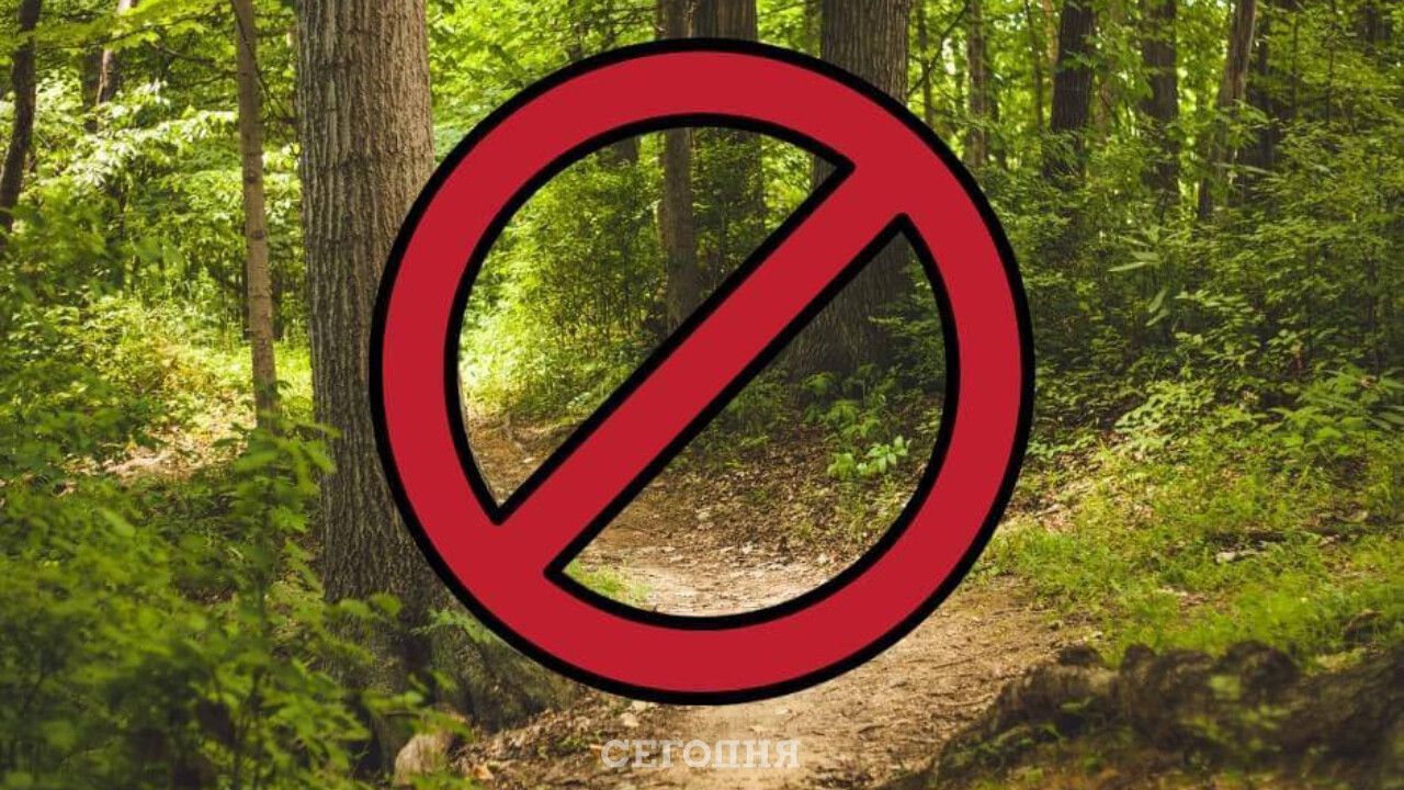 Можно ли посещать леса. Посещение лесов запрещено. Вход в лес запрещен. Запрещено посещать лес. Ограничение посещения лесов.