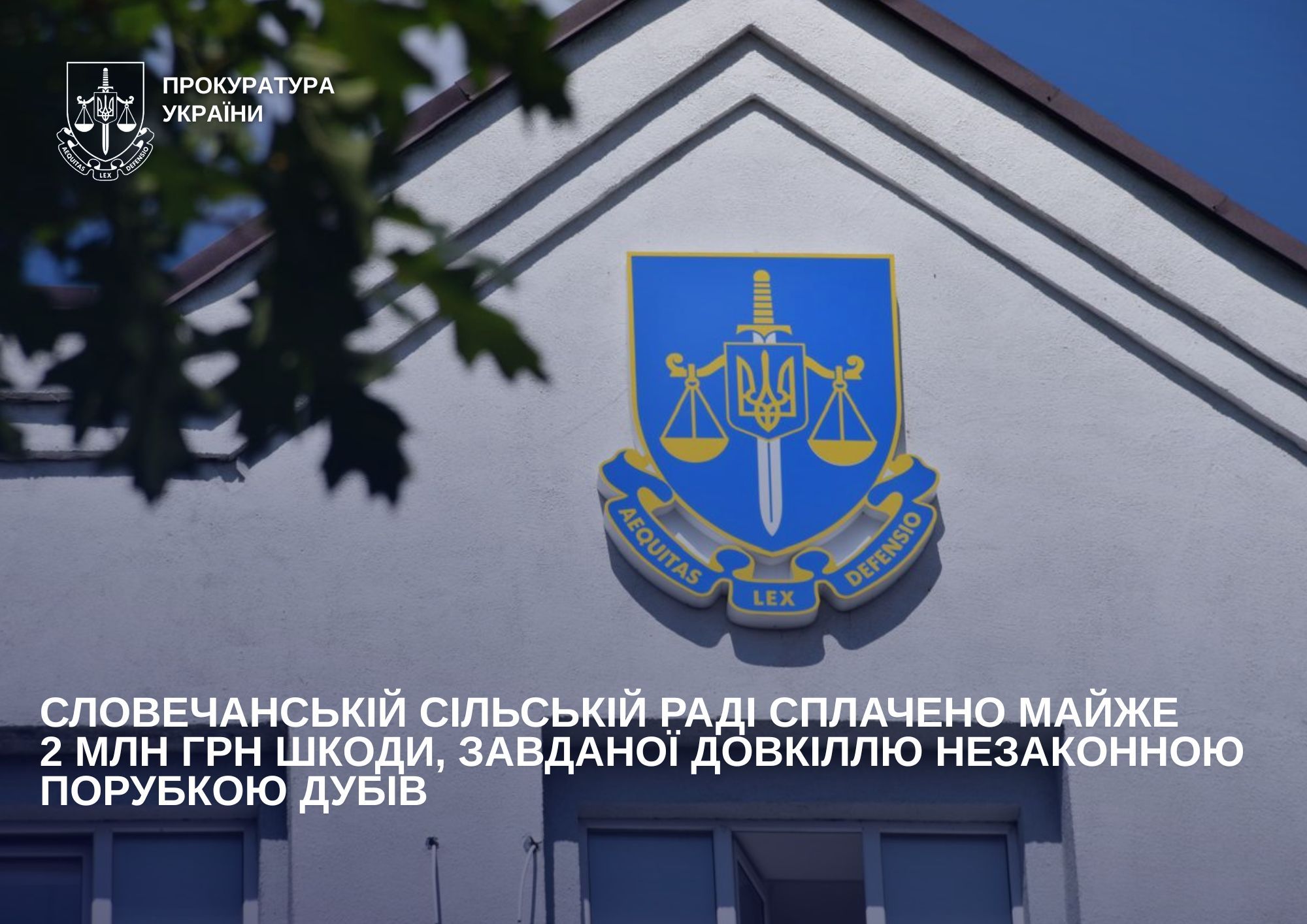 Словечанській сільській раді сплачено майже 2 млн грн шкоди, завданої довкіллю незаконною порубкою дубів
