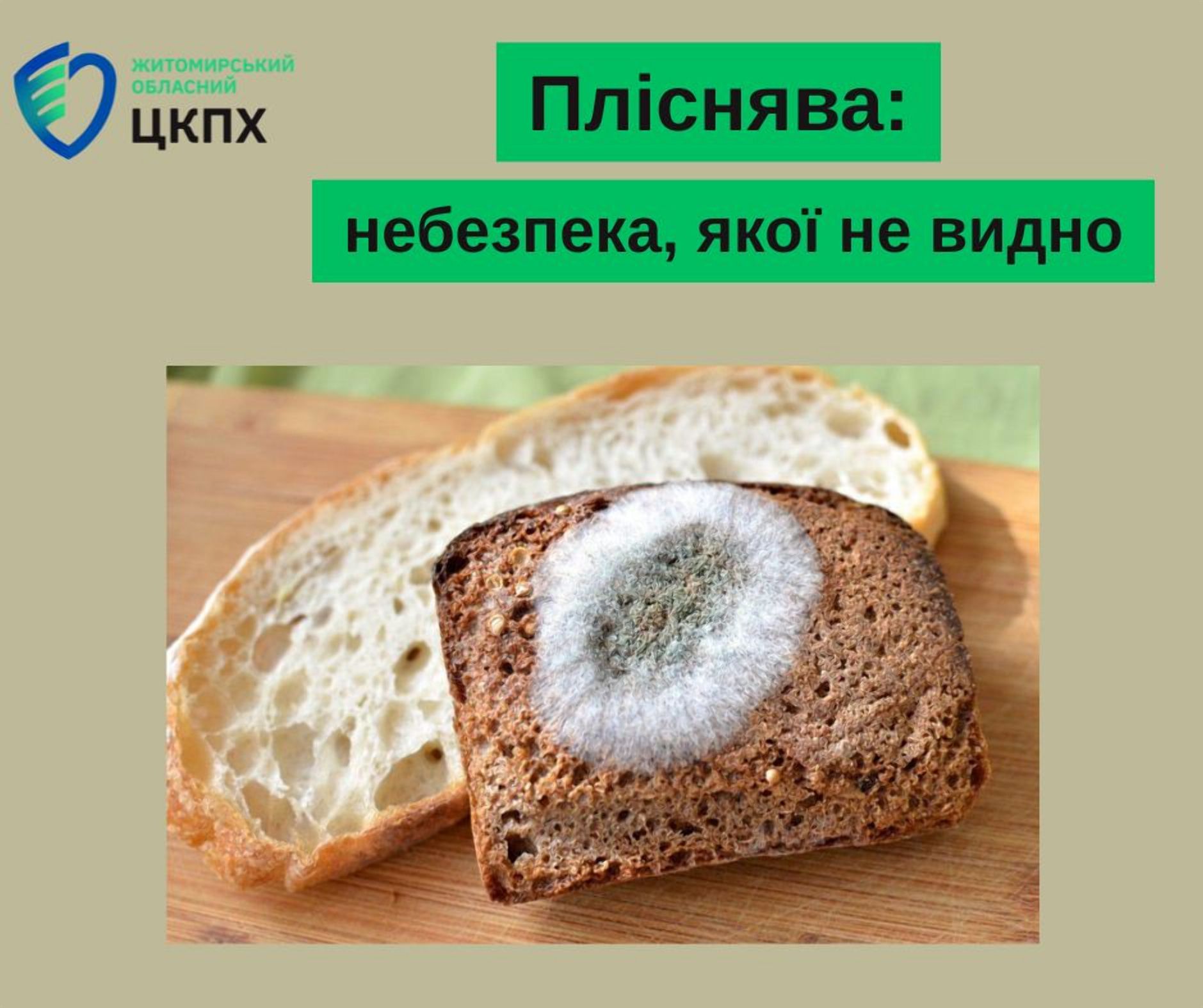 Пліснява: небезпека, якої не видно