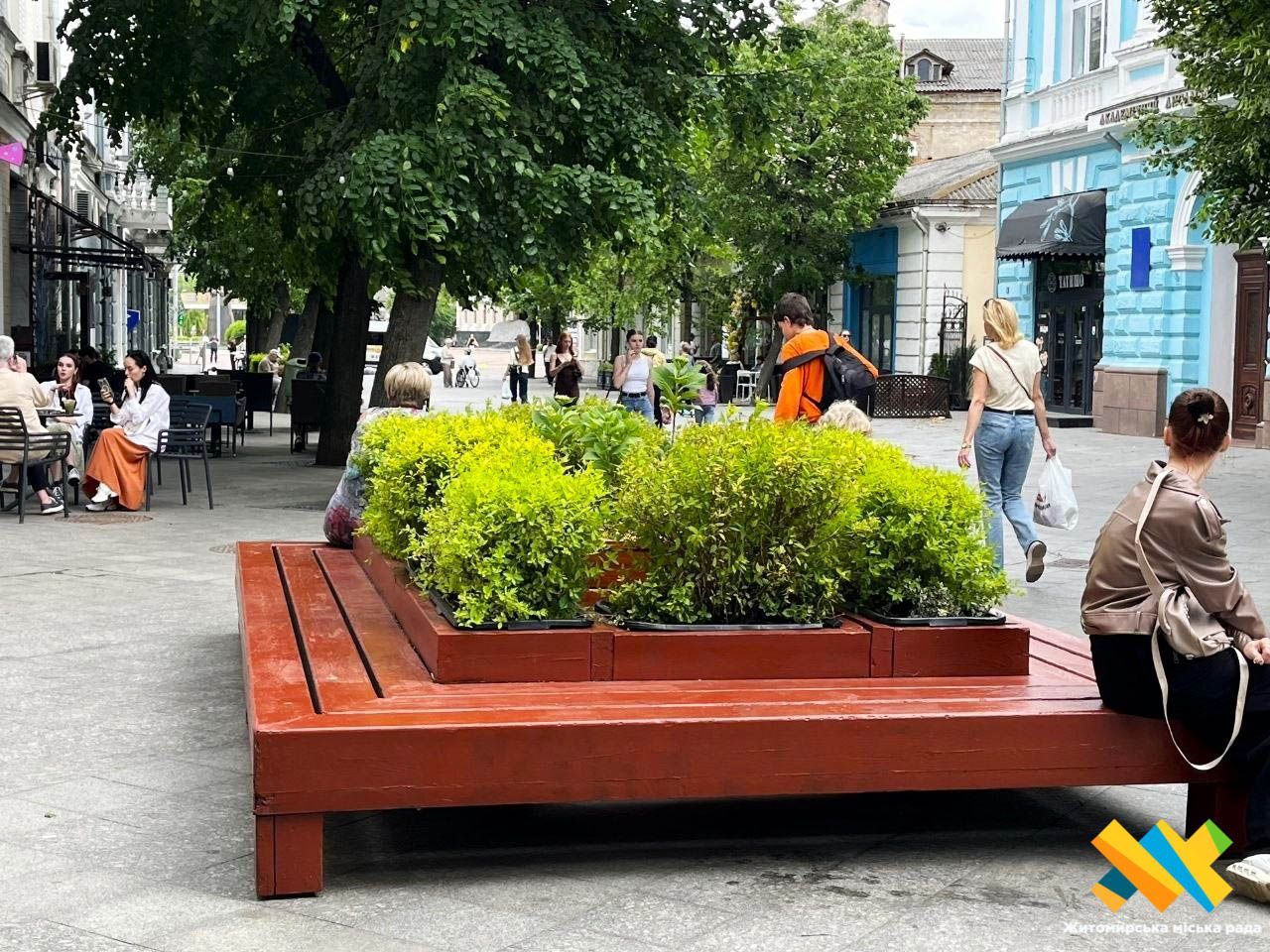 На Михайлівській знову встановили лавочки з озелененням. ФОТО