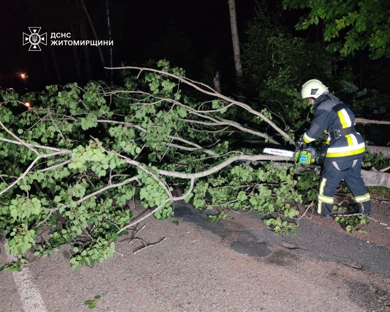Рятувальники двічі впродовж доби прибирали повалені негодою дерева у Коростені та районі