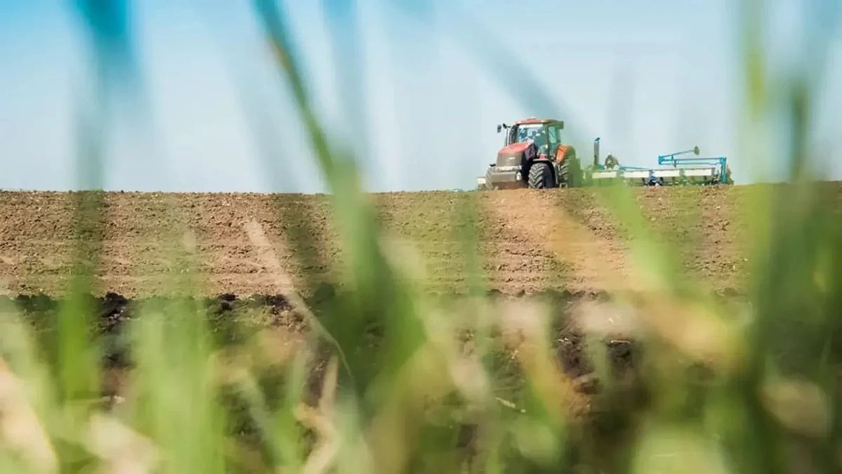 Посівна кампанія 2026 року на Житомирщині: засіяно майже половину запланованих площ