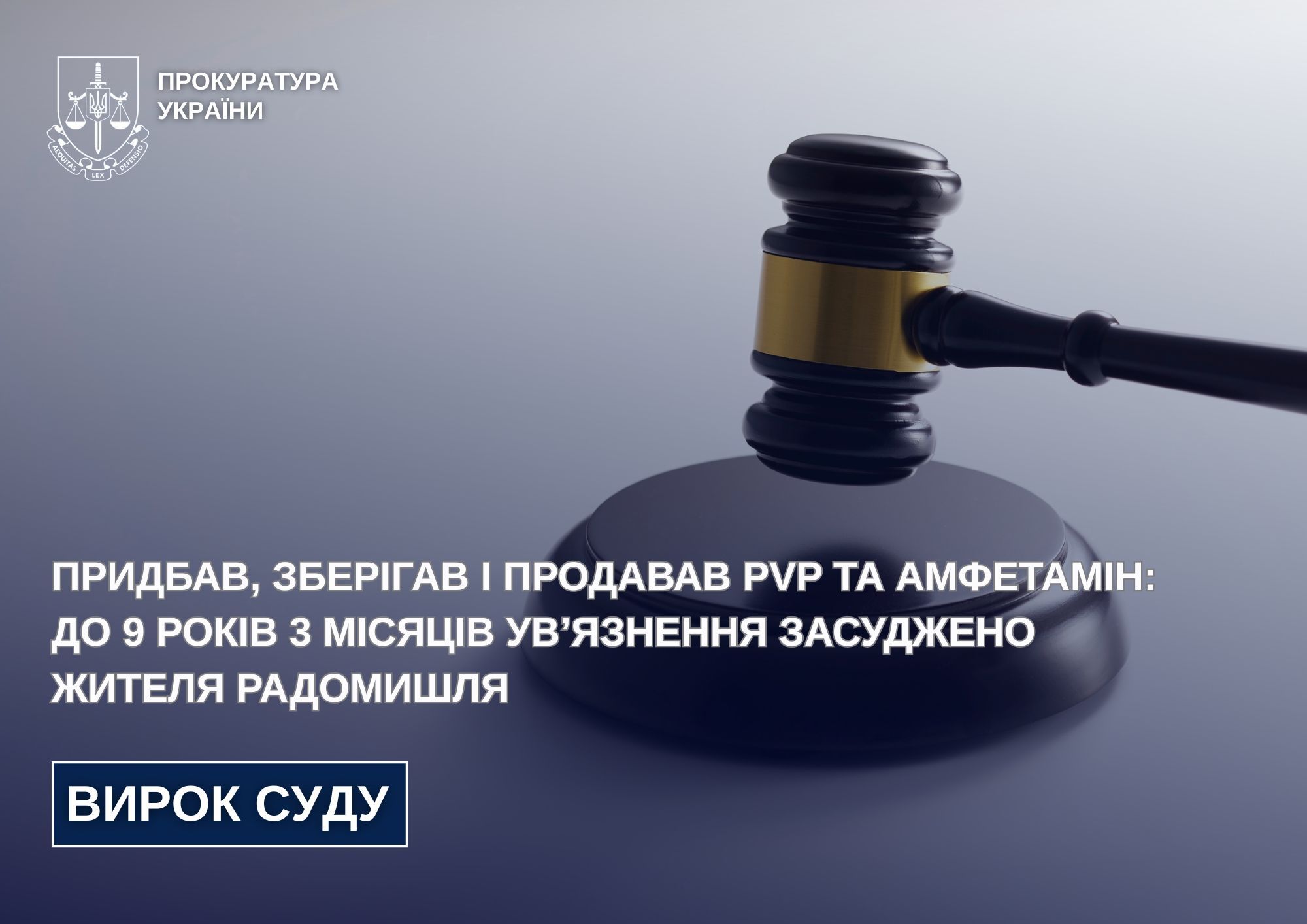 Придбав, зберігав і продавав PVP та амфетамін: до 9 років 3 місяців ув’язнення засуджено жителя Радомишля