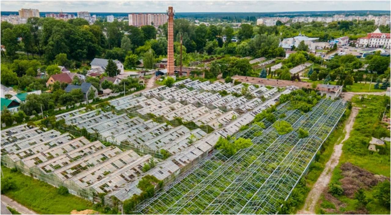 У Житомирі готують запуск AgriTech Innovation Lab на базі міської теплиці