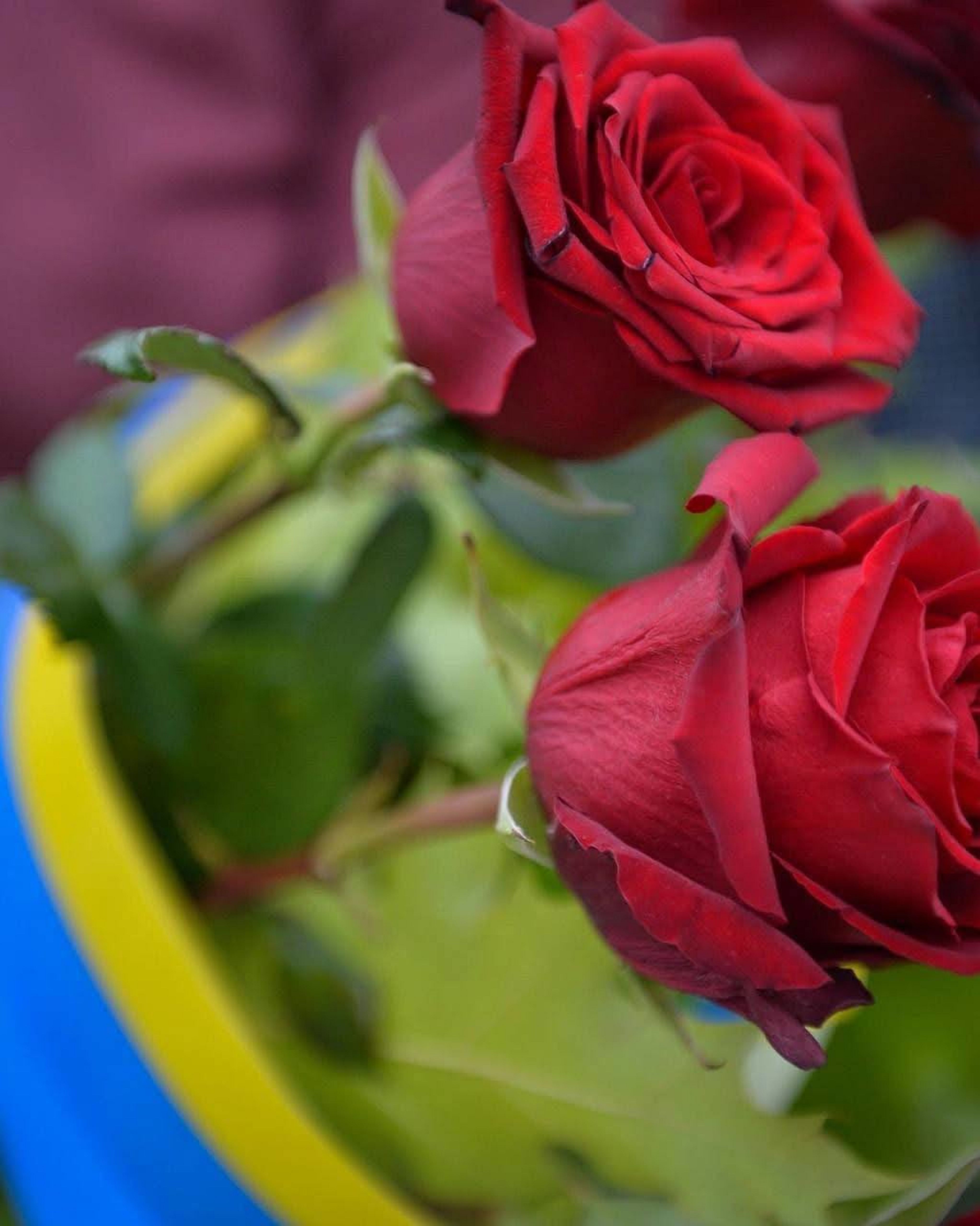 Лише через рік і два місяці повернувся на щиті до Житомира Захисник Кочарян Арутюн