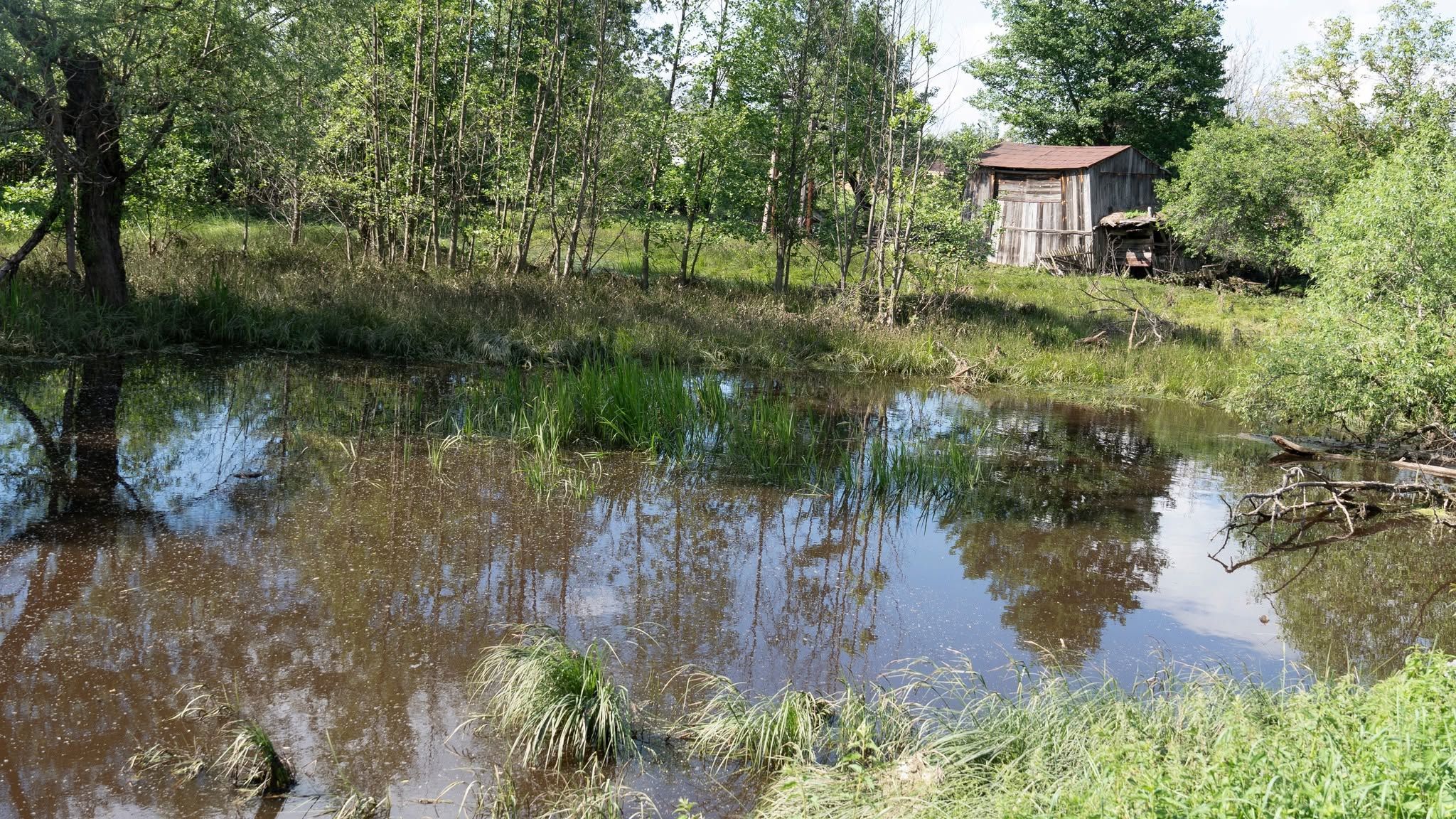 В Ушомирській громаді через негоду та різкий підйом води в річці Уж підтопило двадцять житлових та господарських будівель