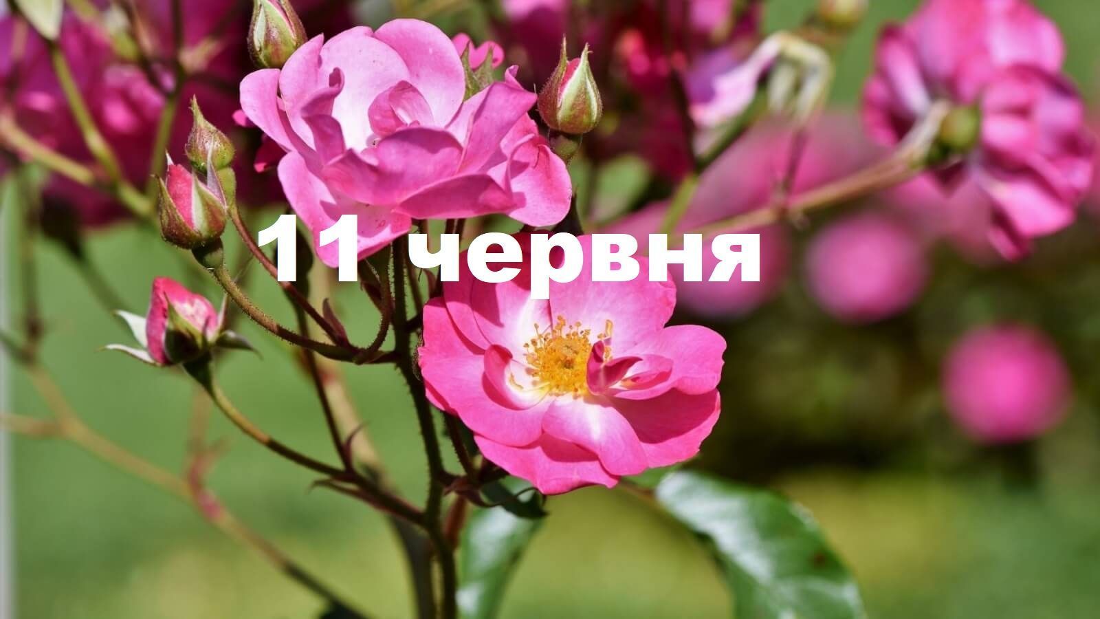 11 червня: все про цей день, яке церковне свято, традиції, прикмети і погода у Житомирі