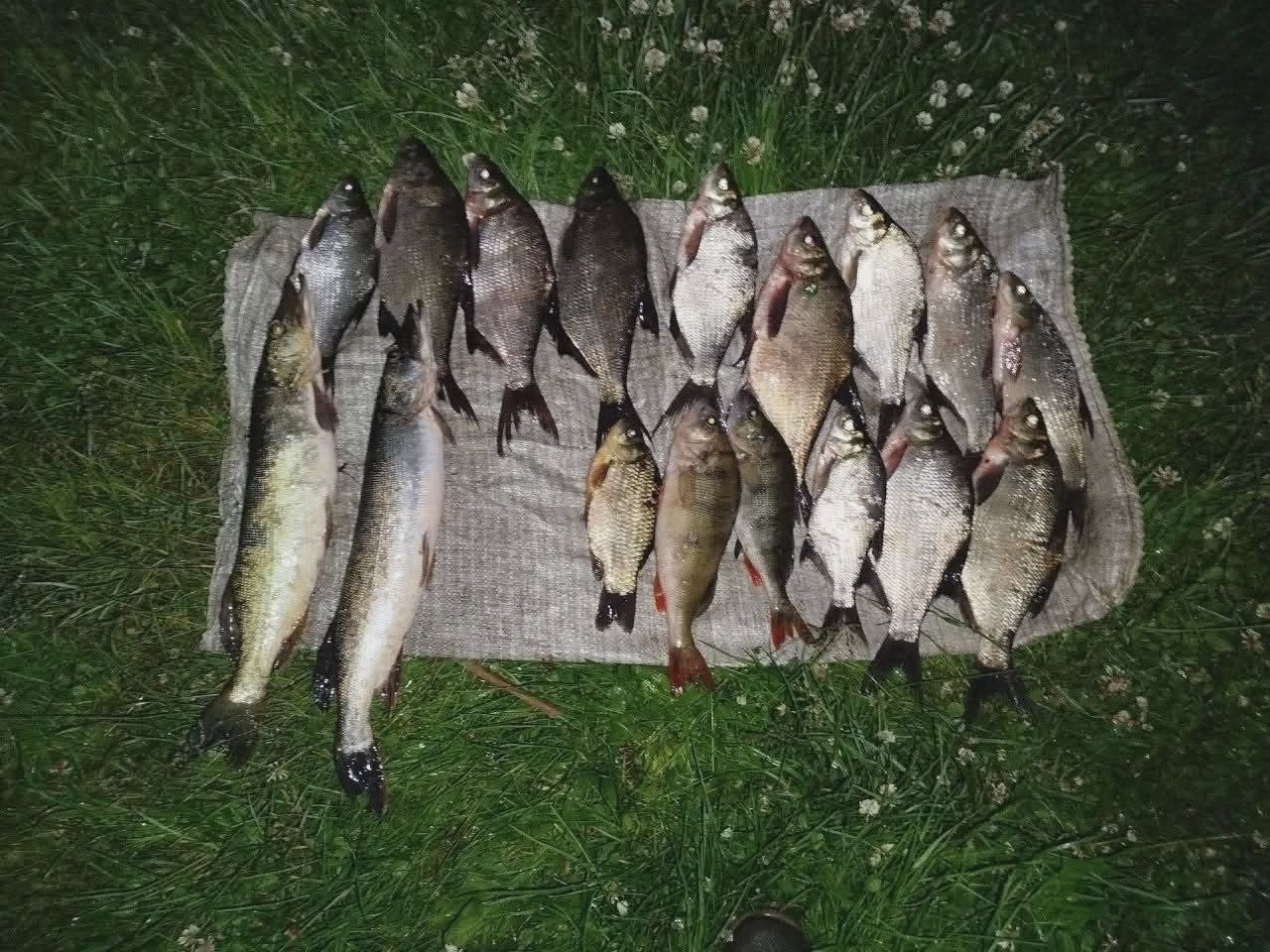 На Іршанському водосховищі виявлено грубе порушення правил рибальства