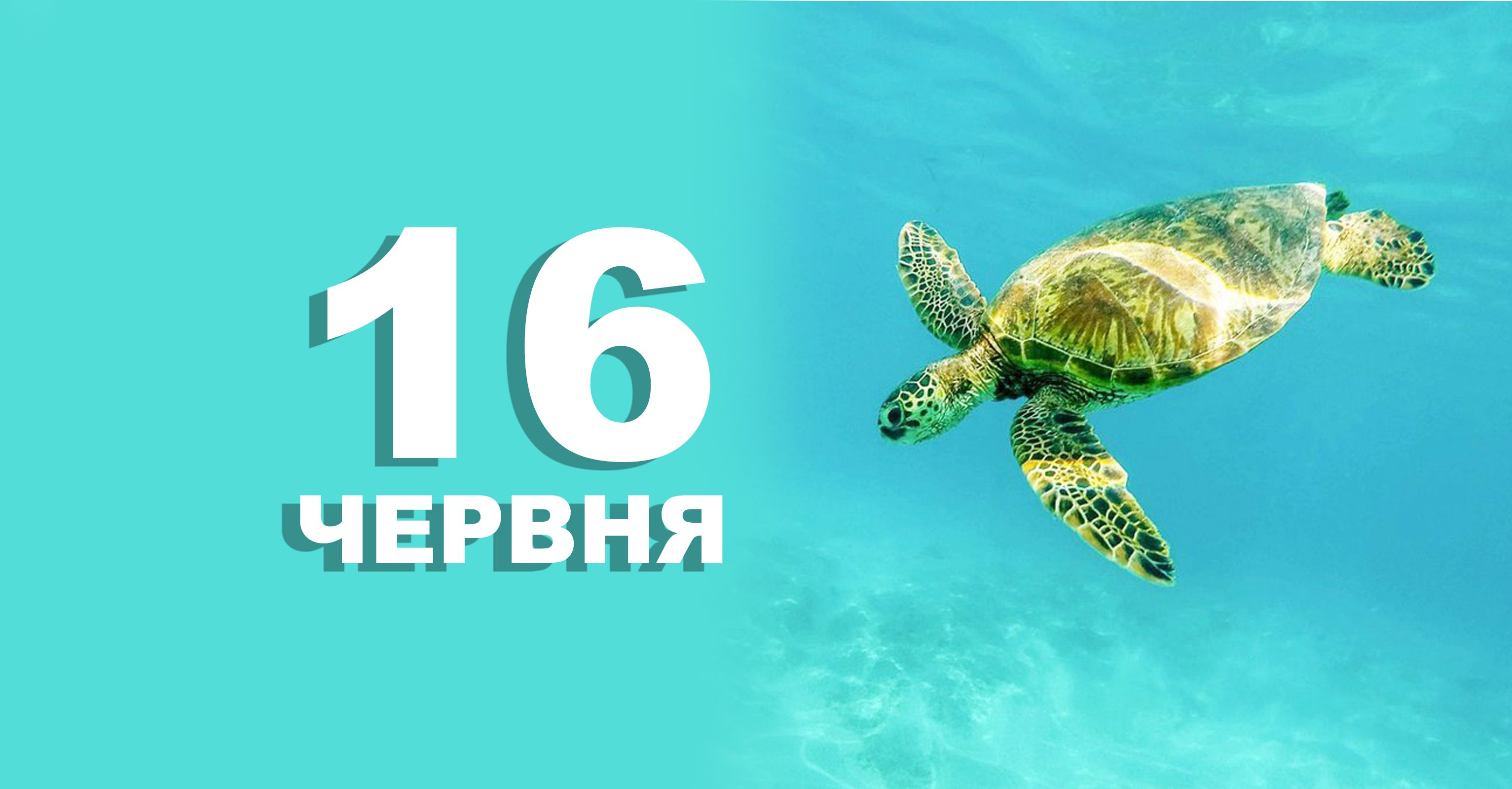16 червня: все про цей день, яке церковне свято, традиції і погода у Житомирі