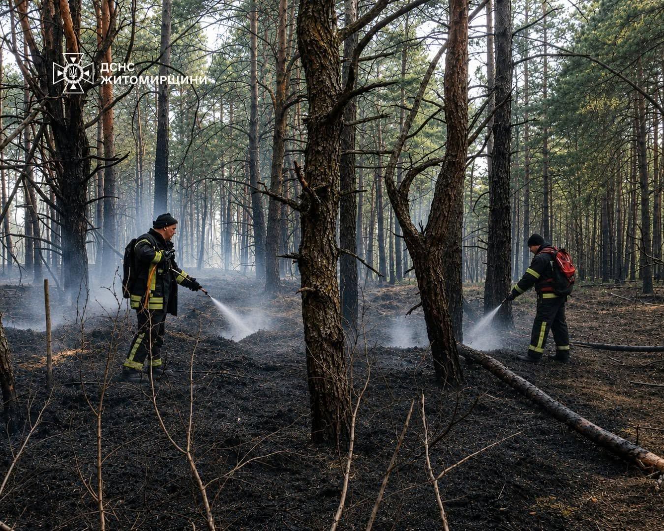 На Житомирщині ліквідували лісову пожежу, що виникла внаслідок падіння уламків російського безпілотника