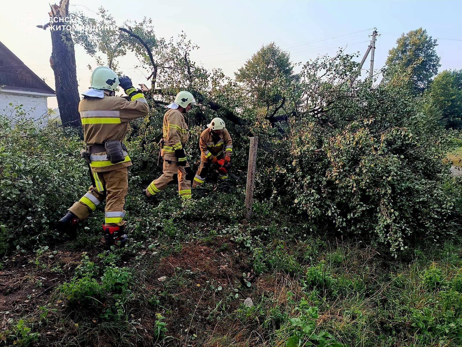 На Житомирщині рятувальники сім разів виїжджали на ліквідацію наслідків негоди