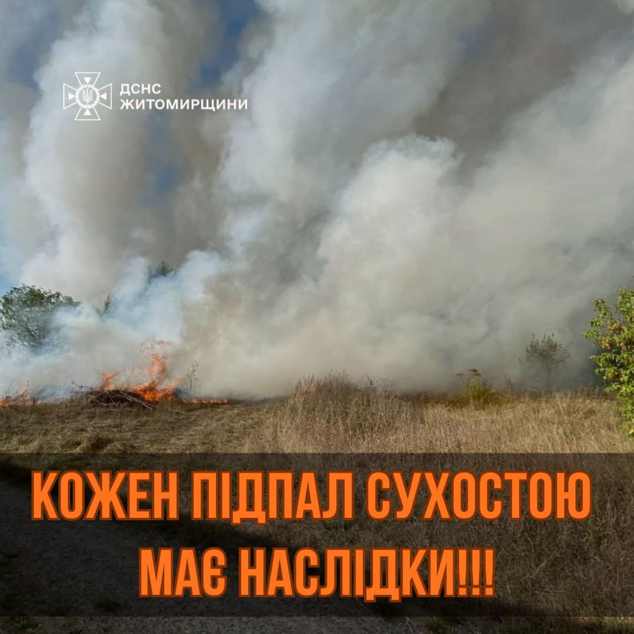 Рятувальники Житомирщини загасили дві пожежі сухостою минулої доби