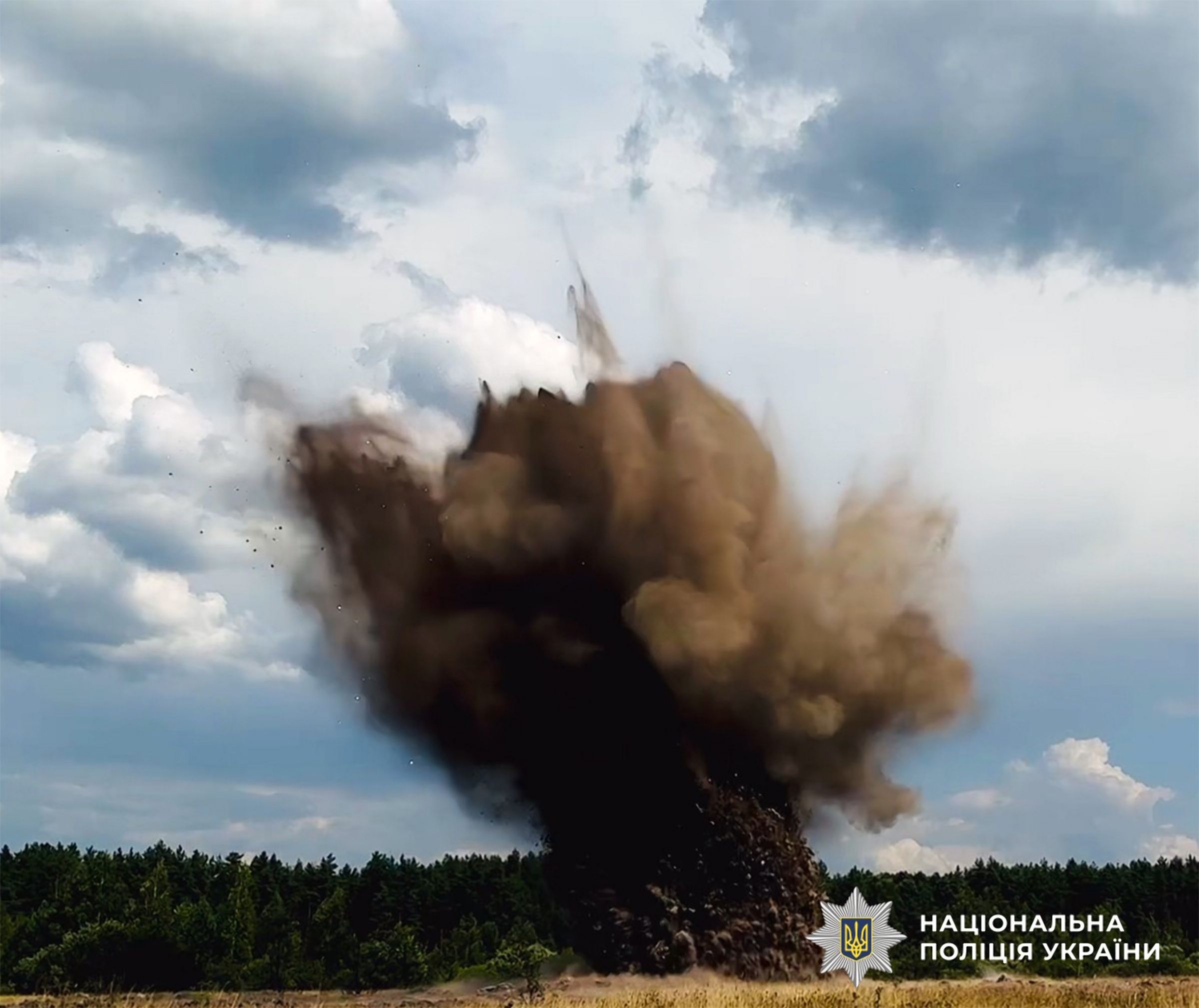 Вибухотехніки поліції знищили бойову частину ворожого БпЛА, виявлену на Житомирщині