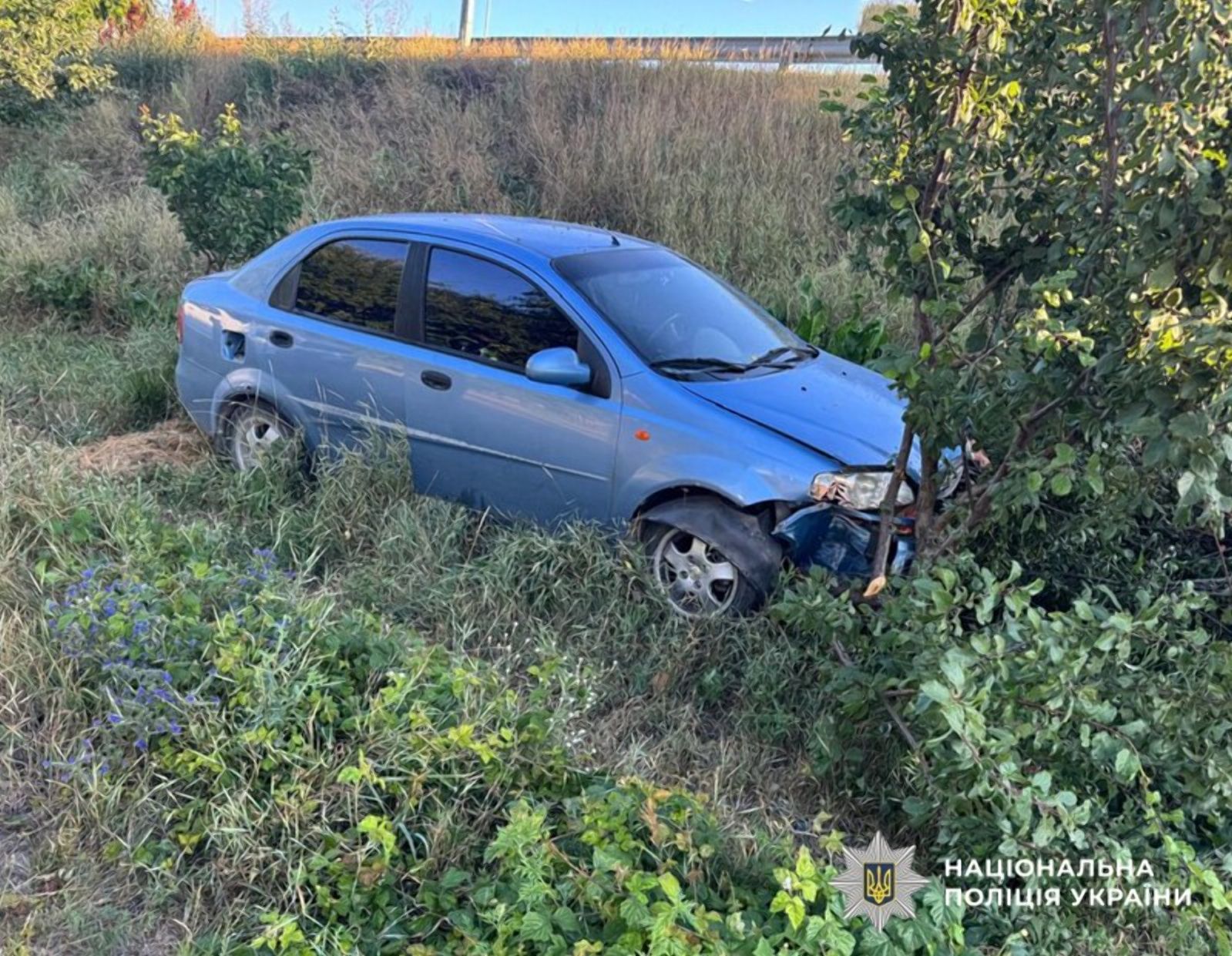 У Коростишеві чоловік у стані алкогольного сп'яніння викрав легковик і опинився разом з ним у кюветі
