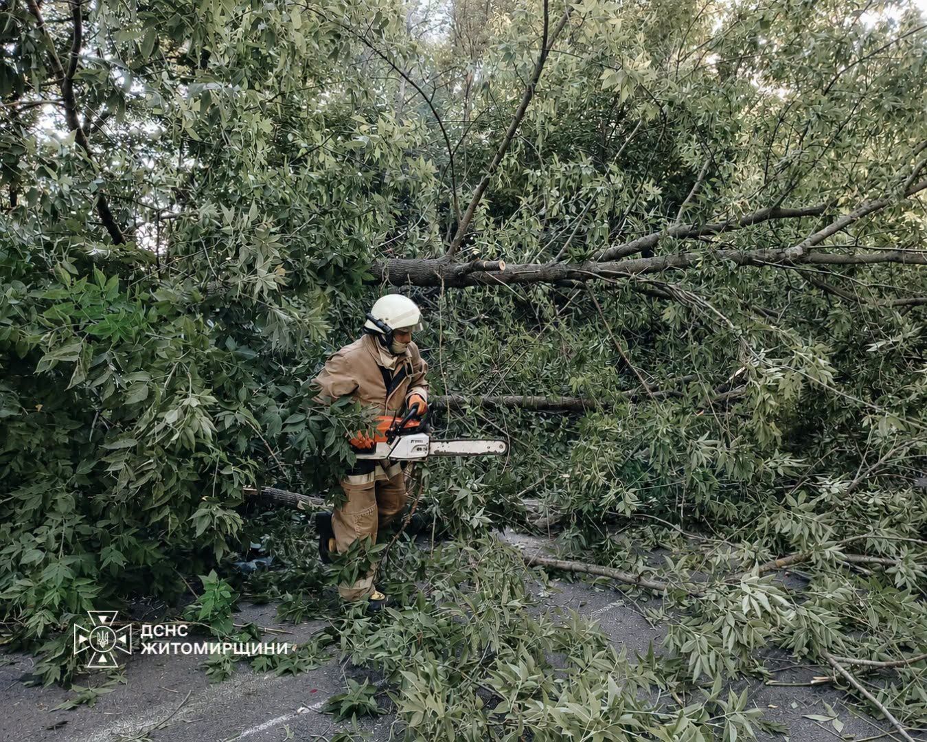 У Старій Котельні рятувальники прибрали дерево, що впало на дорогу