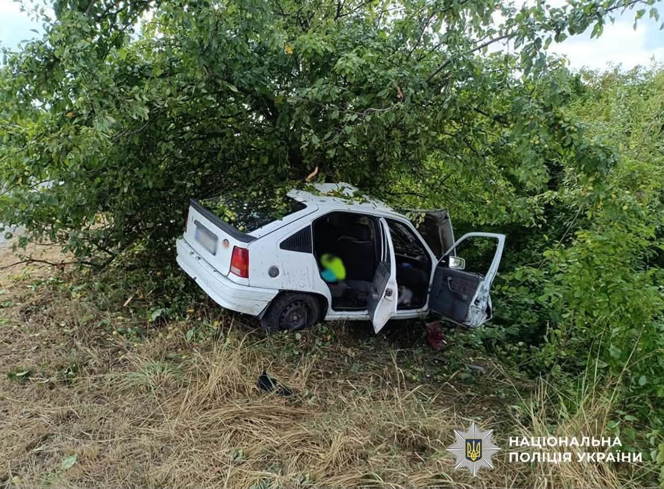 ДТП неподалік Туровця: автівка злетіла в кювет, загинула водійка