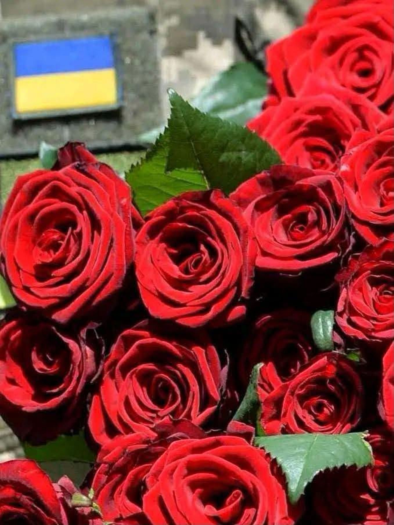 Лише через рік і сім місяців на щиті повернувся до рідного Житомира Захисник Максим Радецький