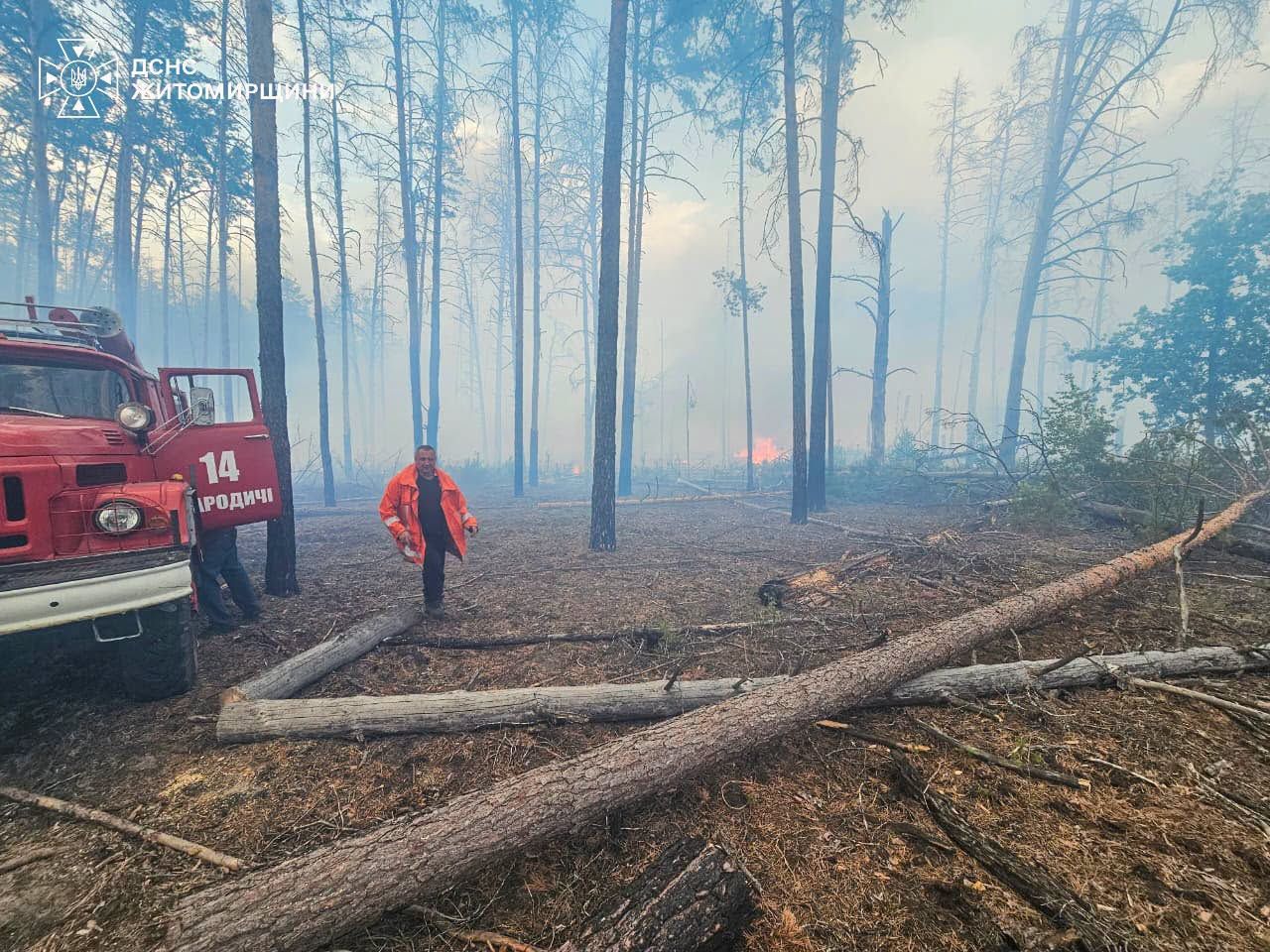 Рятувальники та лісівники продовжують гасити низову лісову пожежу в природному заповіднику «Древлянський» на Коростенщині