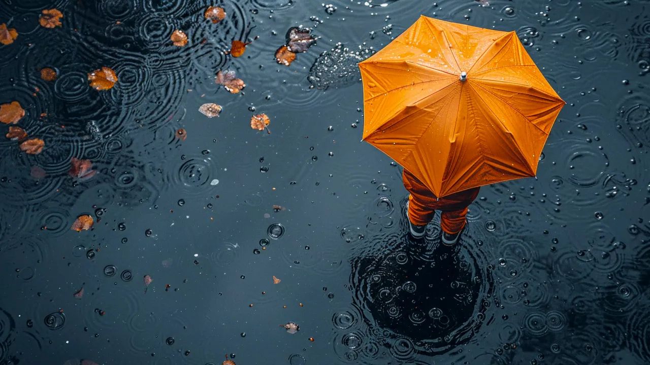 1 вересня у Житомирі дощитиме, температура +22-24°