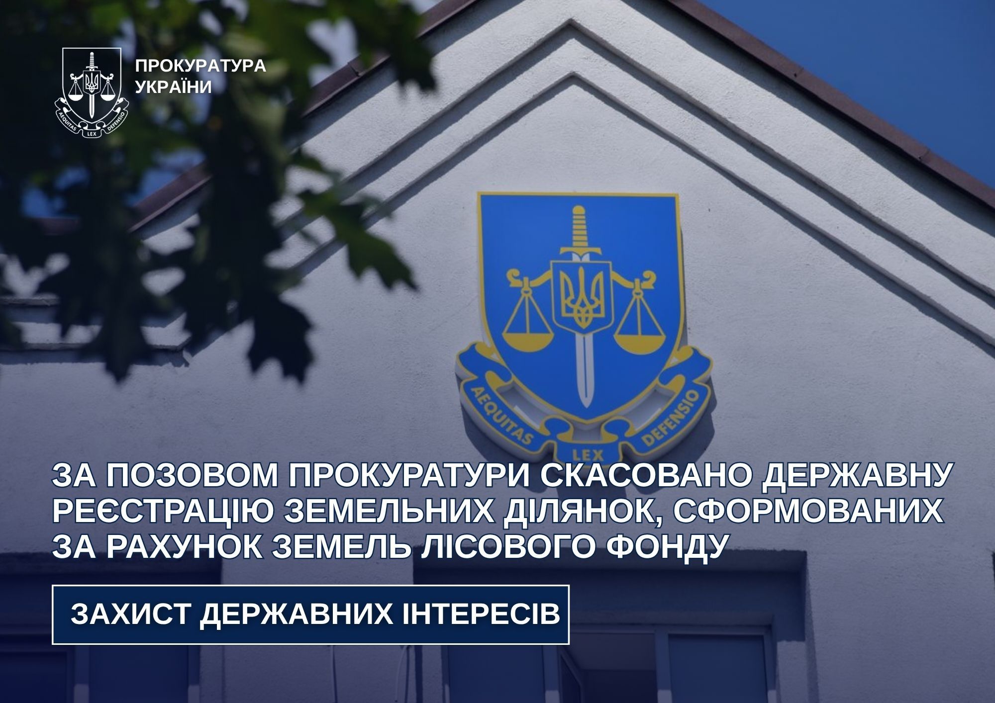 За позовом прокуратури скасовано державну реєстрацію земельних ділянок, сформованих за рахунок земель лісового фонду