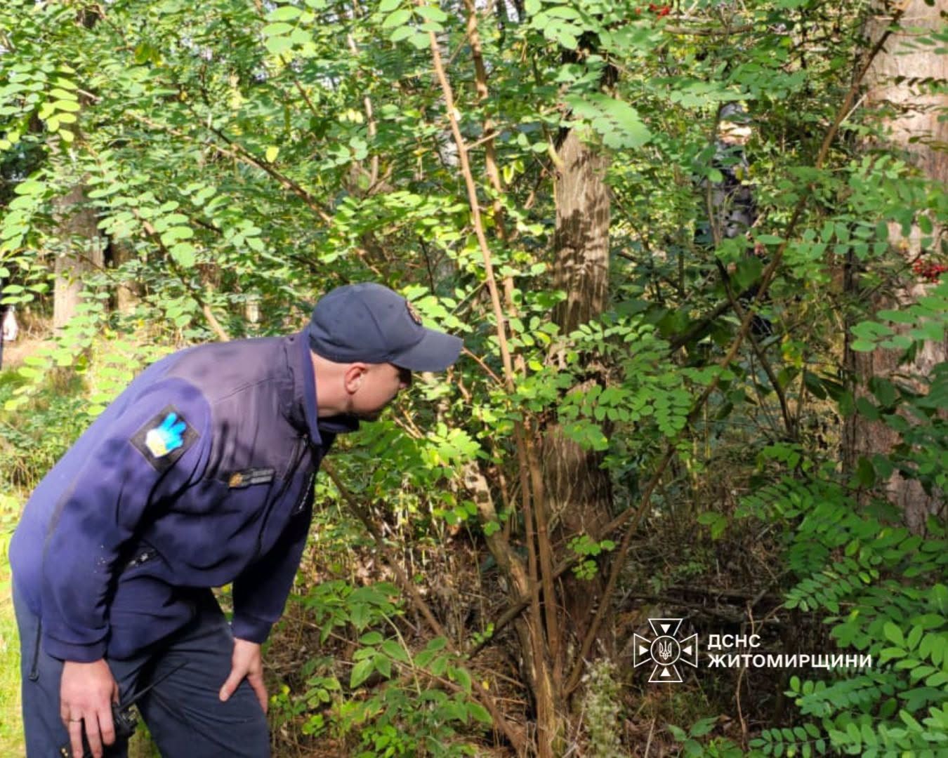 Поблизу с. Кам’янка шукали заблукалого грибника: 40-річного чоловіка знайшли місцеві жителі